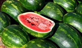 吃瓜素材爆料网站大全最新,最新吃瓜素材网站大全，一网打尽热门爆料！